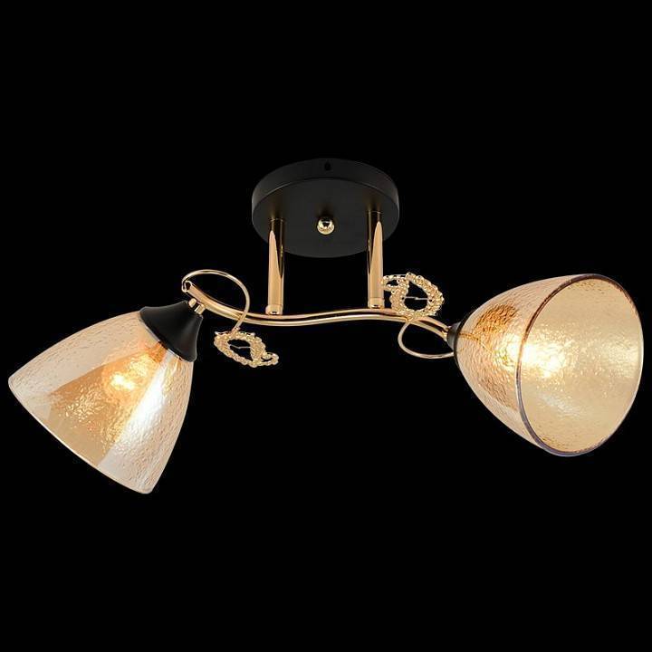 Светильник на штанге Reluce 01321-0.3-02 FGD+BK