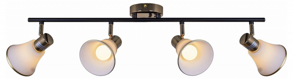 Люстра на штанге De Markt 05901-0.8-04 BK+FGD