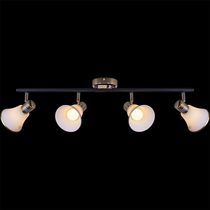 Люстра на штанге De Markt 05901-0.8-04 BK+FGD