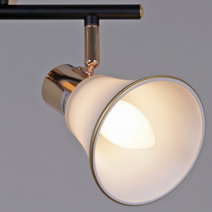 Люстра на штанге De Markt 05901-0.8-04 BK+FGD