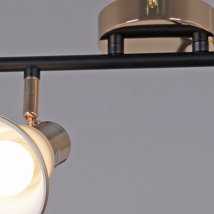 Люстра на штанге De Markt 05901-0.8-04 BK+FGD