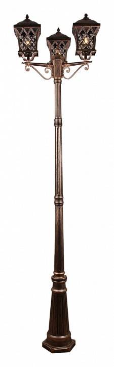 Фонарный столб 09017-0.7-003SL 2.2M BKG
