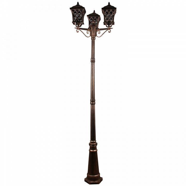Фонарный столб 09017-0.7-003SL 2.2M BKG