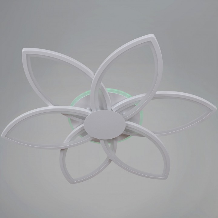 Потолочная люстра 09877-0.3-06B WH (RGB)