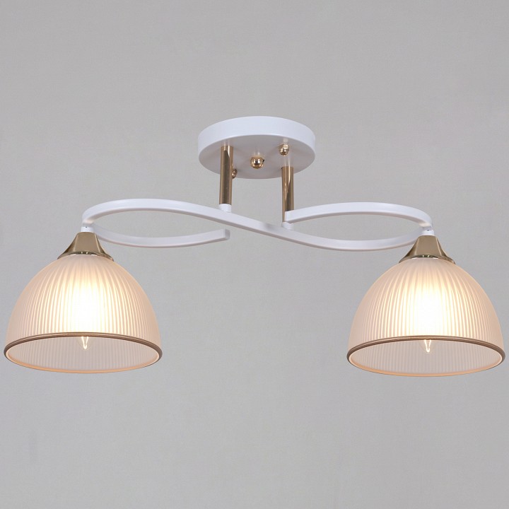 Светильник на штанге  68560-0.3-02 WH+FG