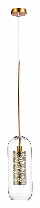 Подвесной светильник ST-Luce Gerrit 1 лампа SL1048.303.01