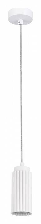 Подвесной светильник ST Luce Kendo 1 лампа SL1213.503.01