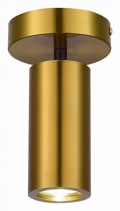 Светильник на штанге ST-Luce Talia SL1215.402.01