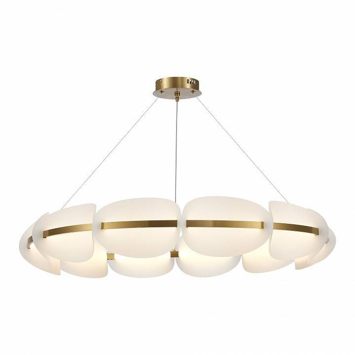 Подвесная люстра ST Luce Etoile LED 65 Вт SL1304.203.65