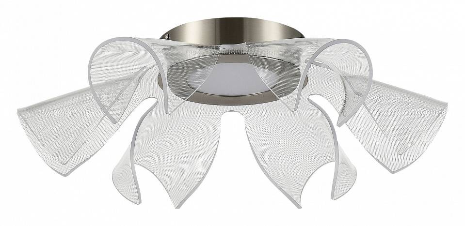 Накладной светильник ST-Luce Fairy SL6235.102.20