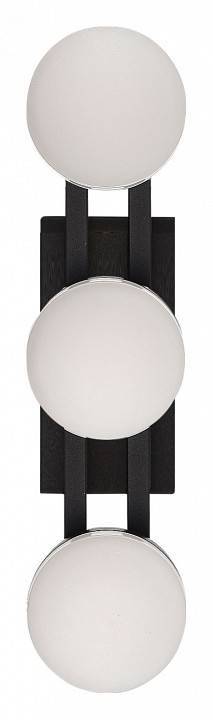 Накладной светильник ST-Luce MONRO SL6610.401.03