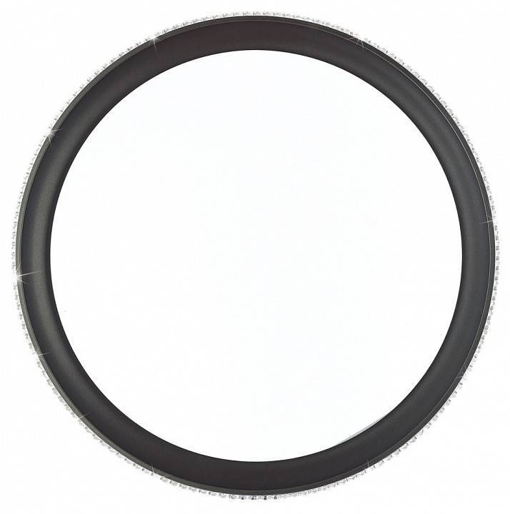 Накладной светильник Sonex Shiny 3049/EL