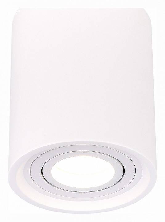 Накладной светильник ST-Luce ST155 Gipsum ST156.502.01