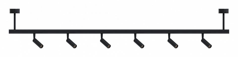 Светильник на штанге ST-Luce TECHNO ST1652.437.24