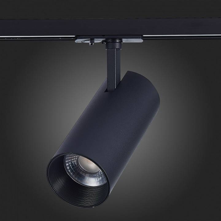 Светильник на штанге ST-Luce Mono ST350.446.30.24