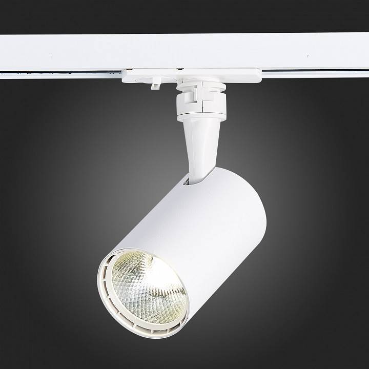 Светильник на штанге ST-Luce Cami ST351.536.10.24