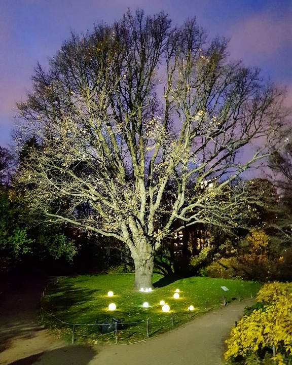 Шар световой Uniel Ulg UL-00003301