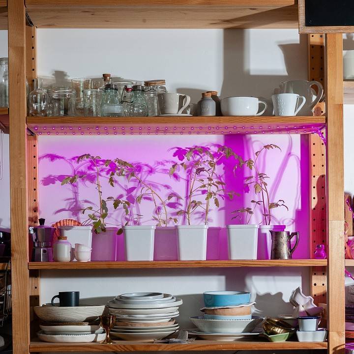 Комплект светодиодной ленты для растений Uniel ULS-P71 2 м IP20 UL-00007572