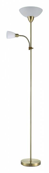 Торшер с подсветкой Velante 315 315-505-02