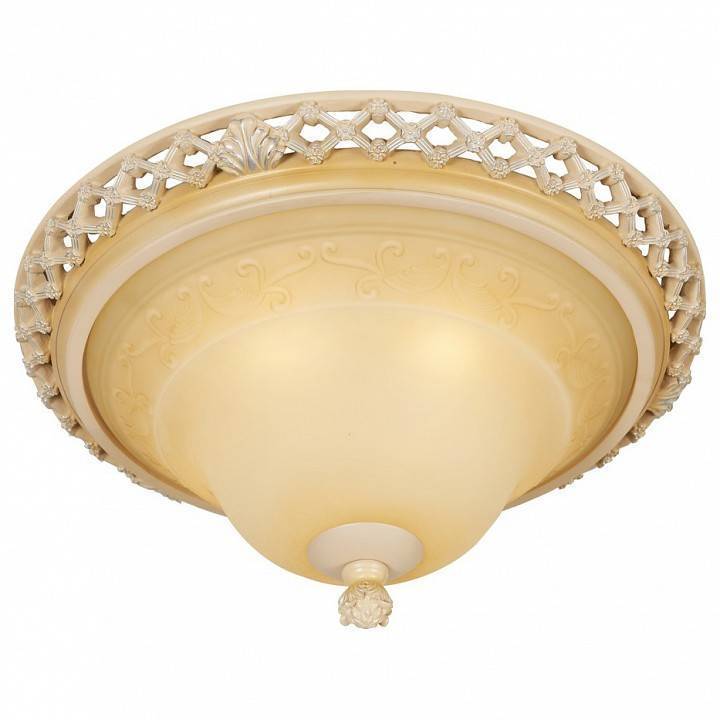 Накладной светильник Wertmark Adora WE342.03.027