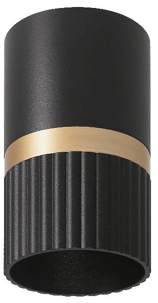 Накладной светильник Wolta DUO WSL-GU10/19BG