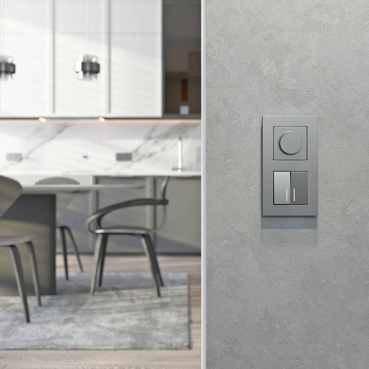 Диммер без рамки Werkel серебряный матовый W1142065