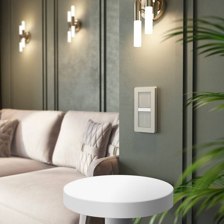 Выключатель двухклавишный с подсветкой без рамки Werkel дымчатый W4523641