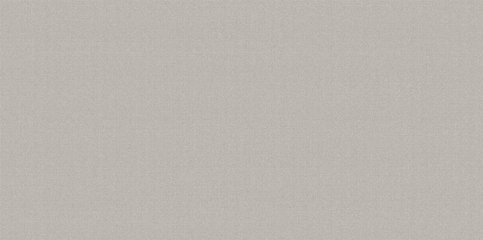 Плитка настенная Alma Ceramica Megapolis Gray 24.9х50 см WT9MEG15