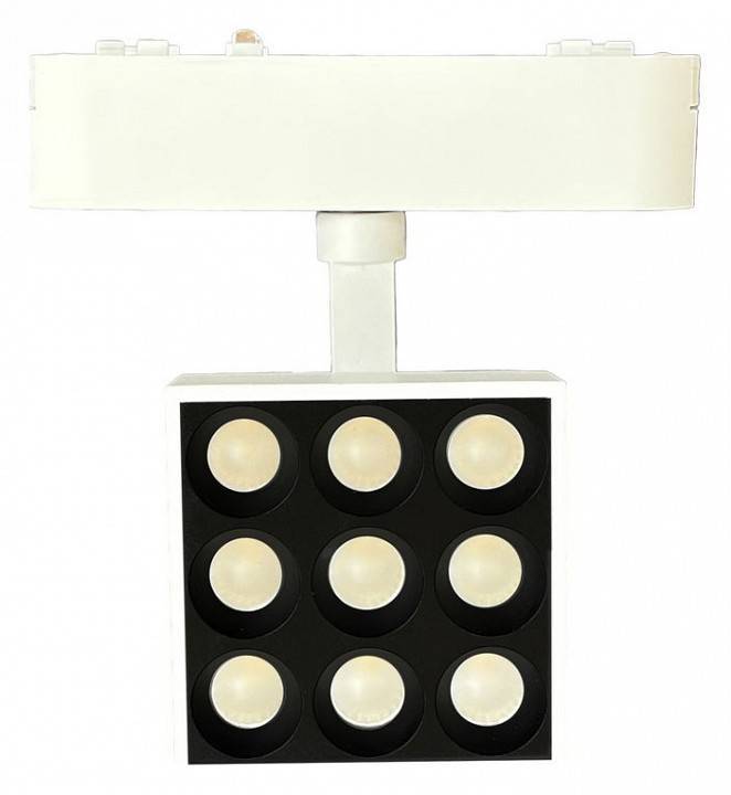 Светильник на штанге Wertmark WTH WTH.O14.007.30.09