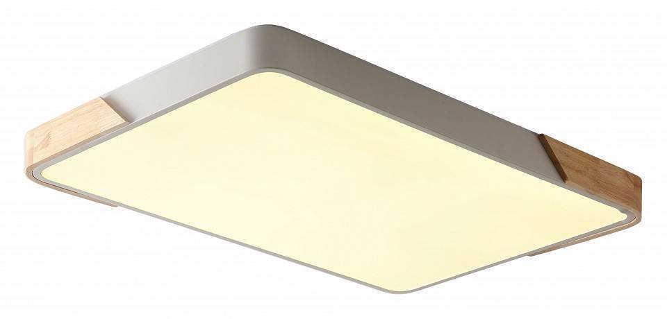 Светильник накладной Zortes ALBERRO ZRS.01233.60