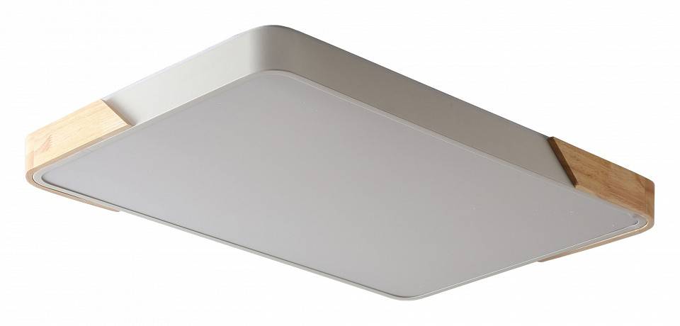 Светильник накладной Zortes ALBERRO ZRS.01233.60