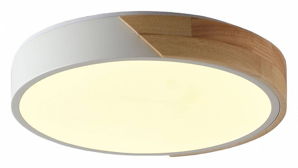 Накладной светильник Zortes ALBERRO ZRS.01239.90