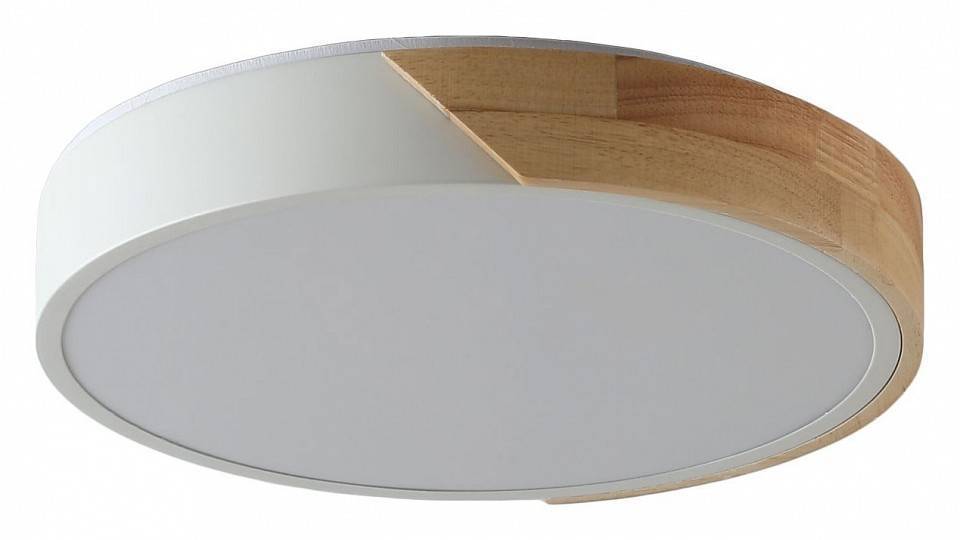 Накладной светильник Zortes ALBERRO ZRS.01239.90