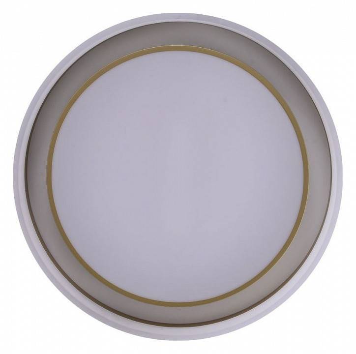 Накладной светильник Zortes Adel ZRS.1200.01