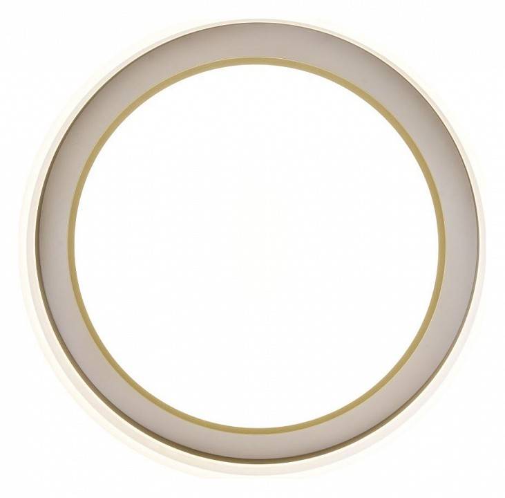 Накладной светильник Zortes Adel ZRS.1200.01