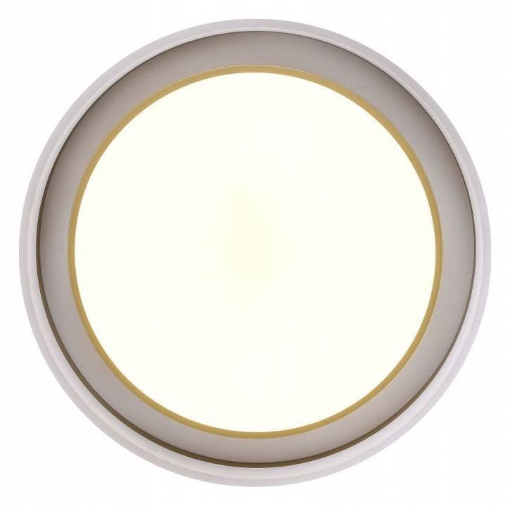 Накладной светильник Zortes Adel ZRS.1200.01