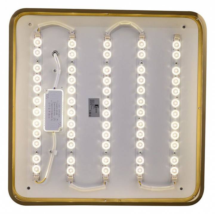 Накладной светильник Zortes Monna ZRS.1209.03