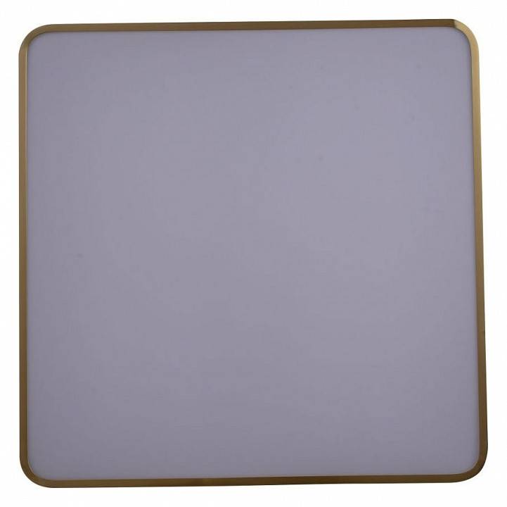 Накладной светильник Zortes Monna ZRS.1209.05