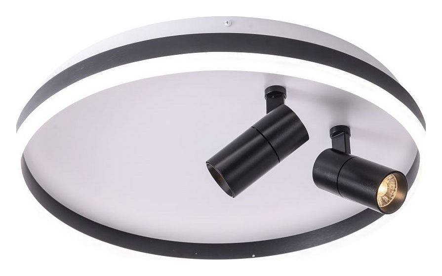 Накладной светильник Zortes Raizy ZRS.1888.01