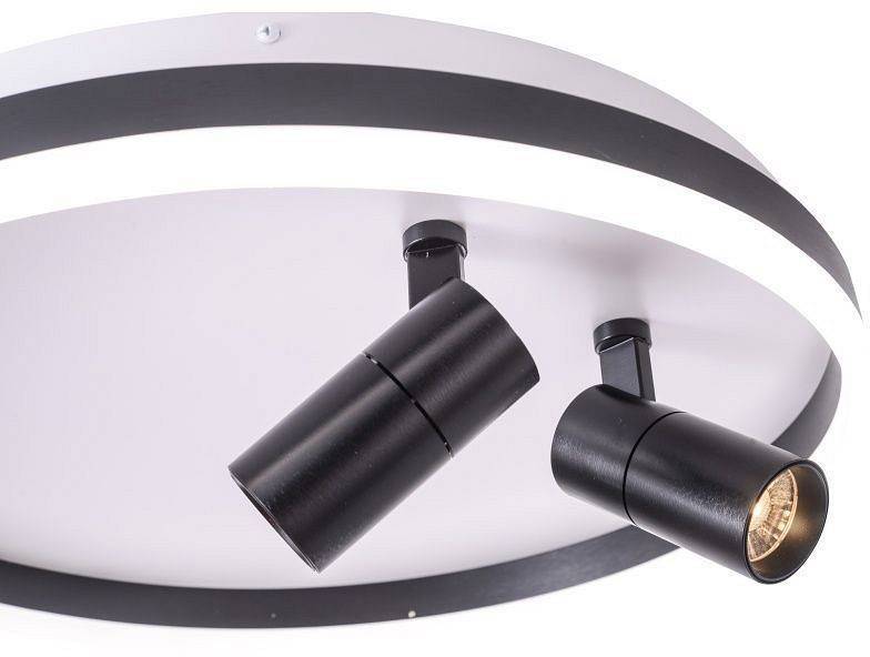 Накладной светильник Zortes Raizy ZRS.1888.01