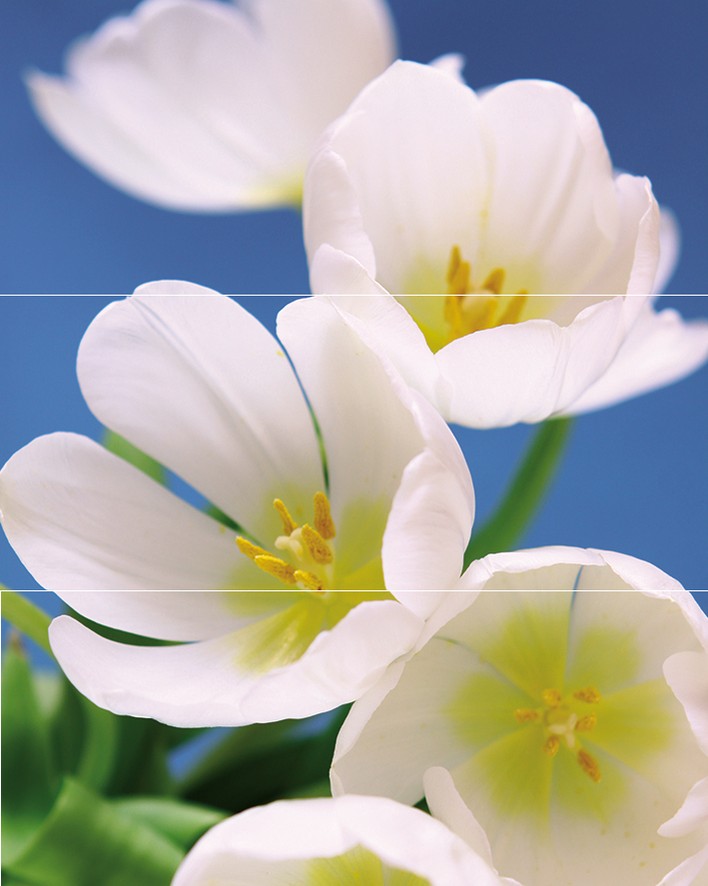 Панно Cerrol Blue Garden из 3 плиток 75х60 см х9999068635