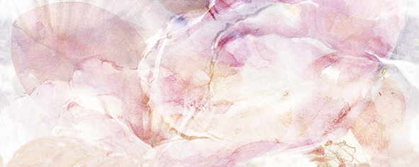 Декор панно Ceradim Frescura C 20х50 см КПН17FrescuraC