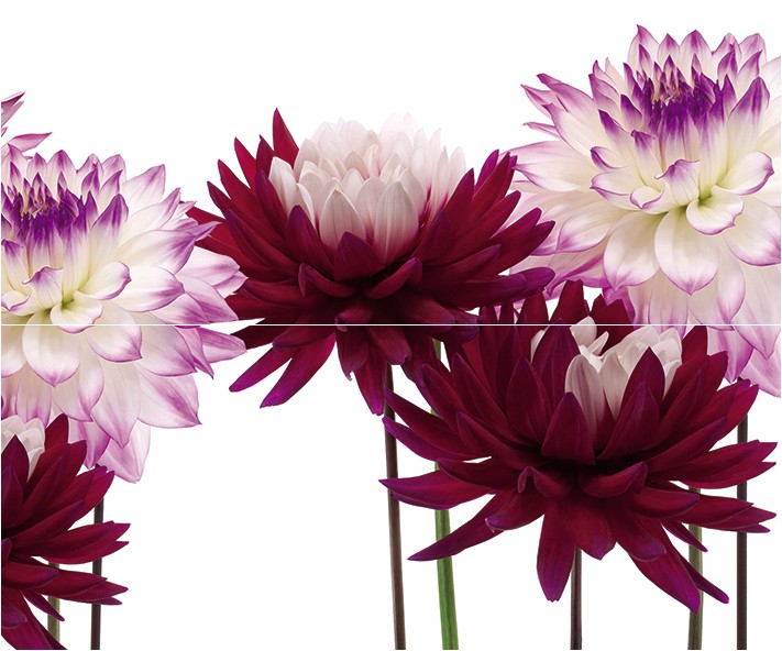 Панно Cerrol Matiz А (из 2 плит) 50х60 см х9999068641