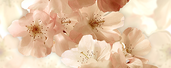 Декор панно Ceradim Manzano A 20х50 см КПН17ManzanoА