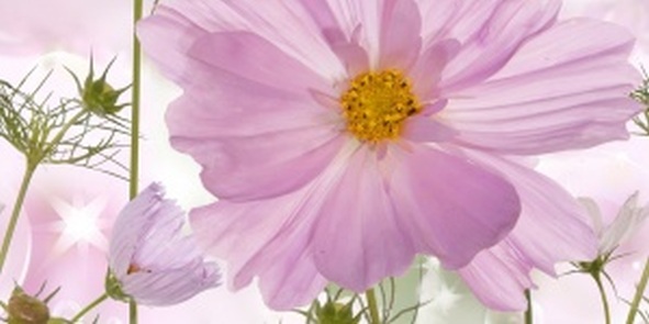 Декор Нефрит-Керамика Утро 10-05-85-168-2 25х50 см панно часть 2 х9999030052