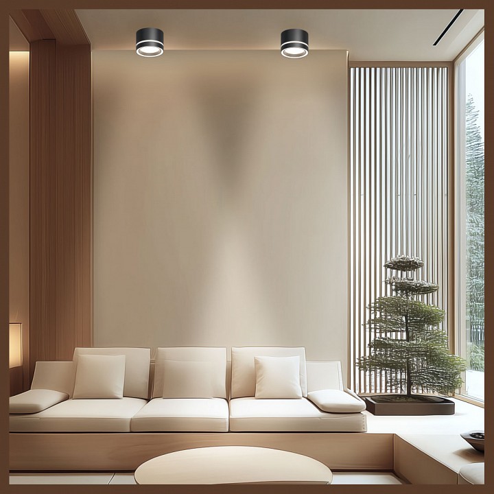 Накладной светильник Apeyron Electrics Ray 16-121