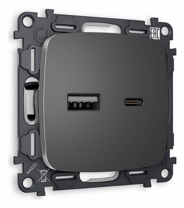 Розетка 2хUSB type A и C без рамки Ambrella Volt Quant MO661010