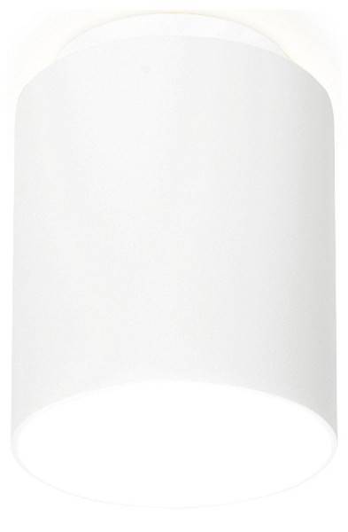 Накладной светильник Ambrella Light TN TN261