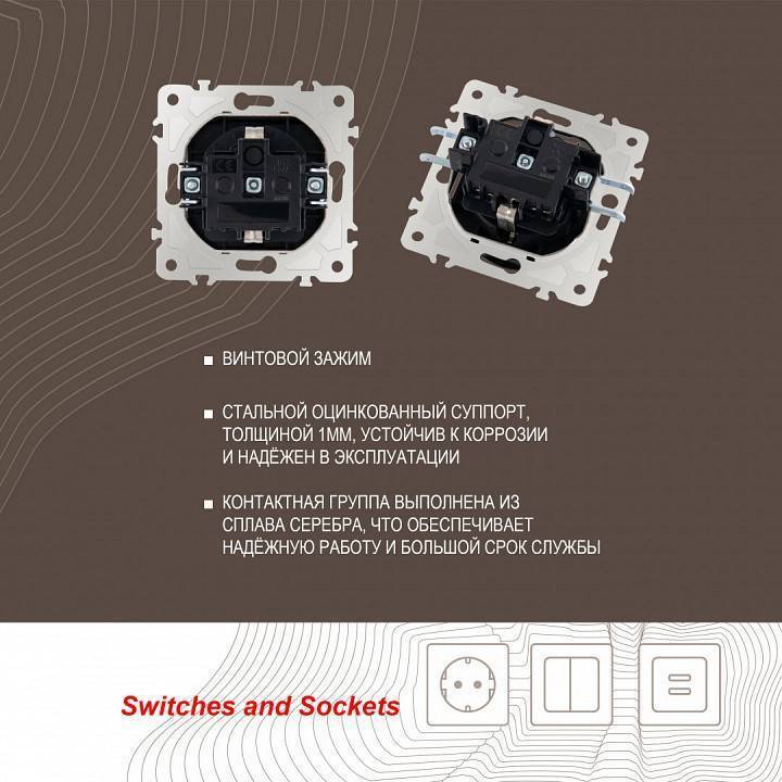 Розетка влагозащищенная с заземлением и со шторкой с крышкой Arte Milano am-203 203.41-1.black