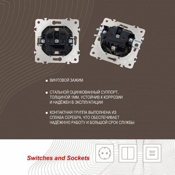 Розетка влагозащищенная с заземлением и со шторкой с крышкой Arte Milano am-203 203.41-1.shampan